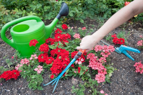 Careful pruning work beside a Knightsbridge townhouse garden with limited access