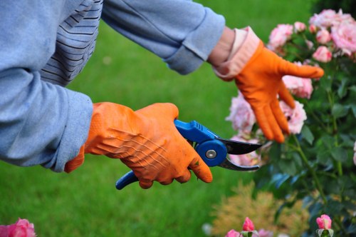 Safe payment methods for Tree Surgeons Knightsbridge services
