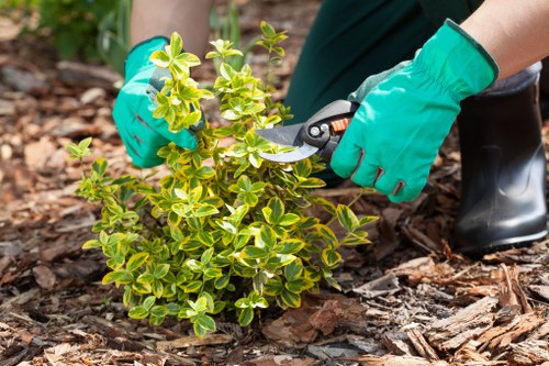 PCI compliant Tree Surgeons Knightsbridge payment processing