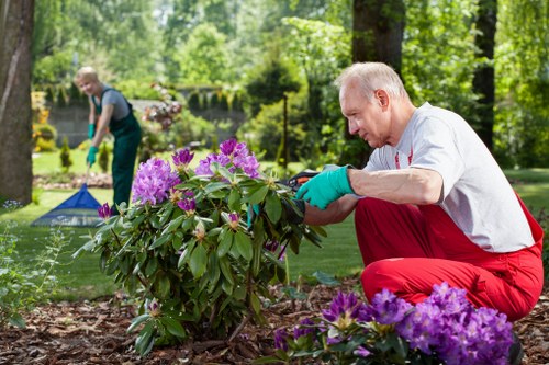 Secure online payment confirmation for Tree Surgeons Knightsbridge