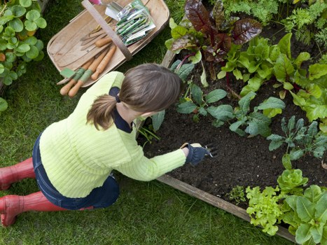 Clearing a tree stump to prepare a garden for replanting