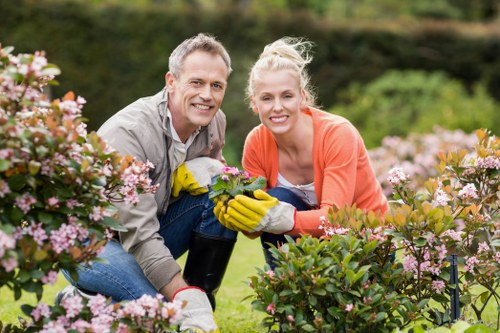 Clean-up after professional tree removal at a Knightsbridge property
